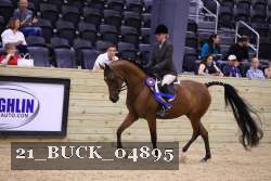 21_BUCK_04895 proof