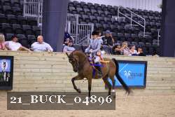 21_BUCK_04896 proof