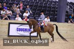 21_BUCK_04898 proof