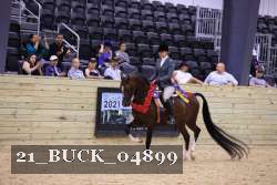 21_BUCK_04899 proof