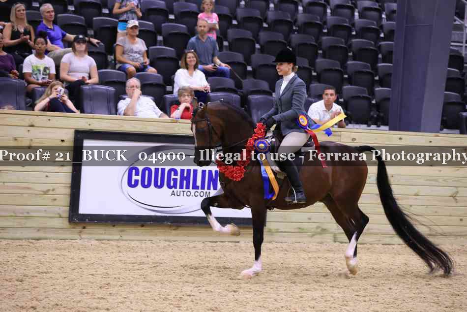Proof 21_BUCK_04900