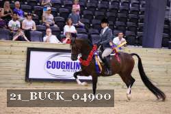 21_BUCK_04900 proof