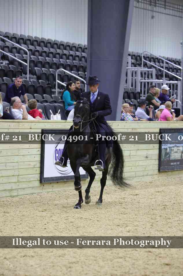 Proof 21_BUCK_04901
