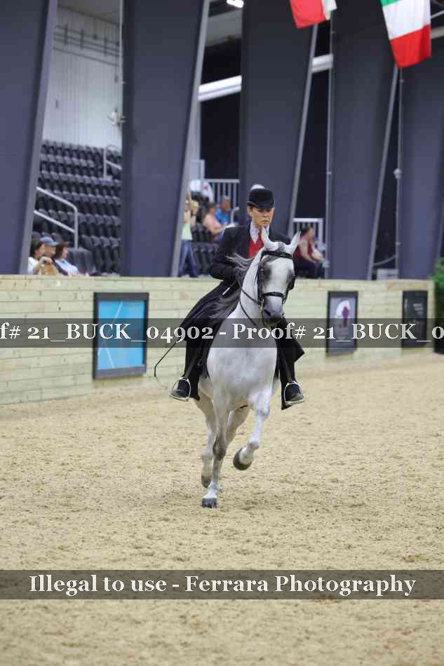 Proof 21_BUCK_04902