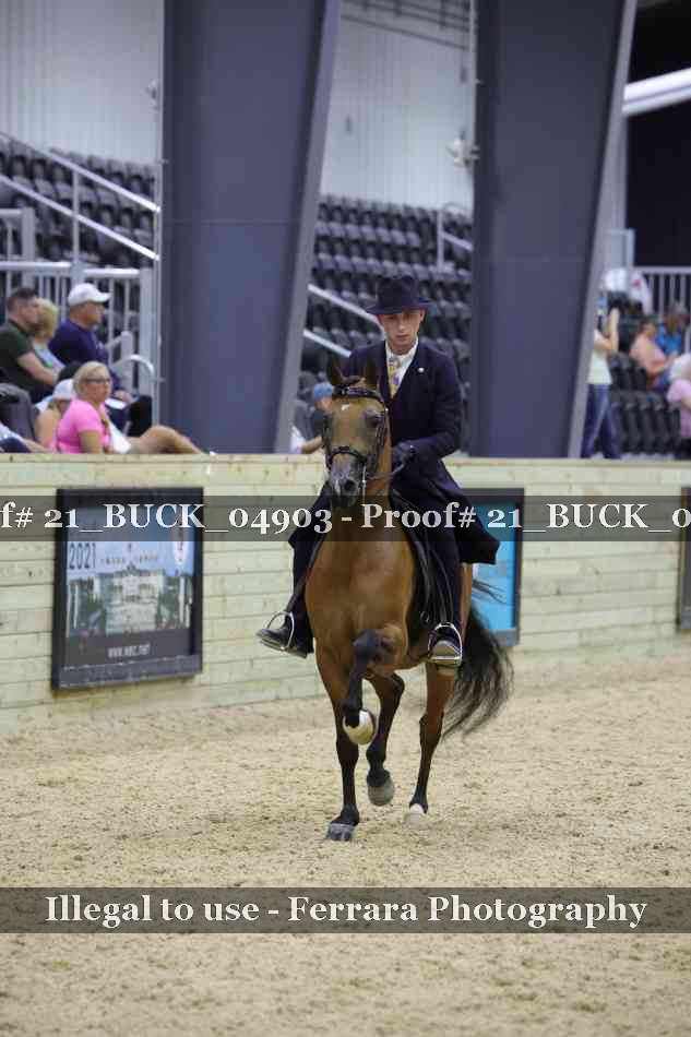 Proof 21_BUCK_04903