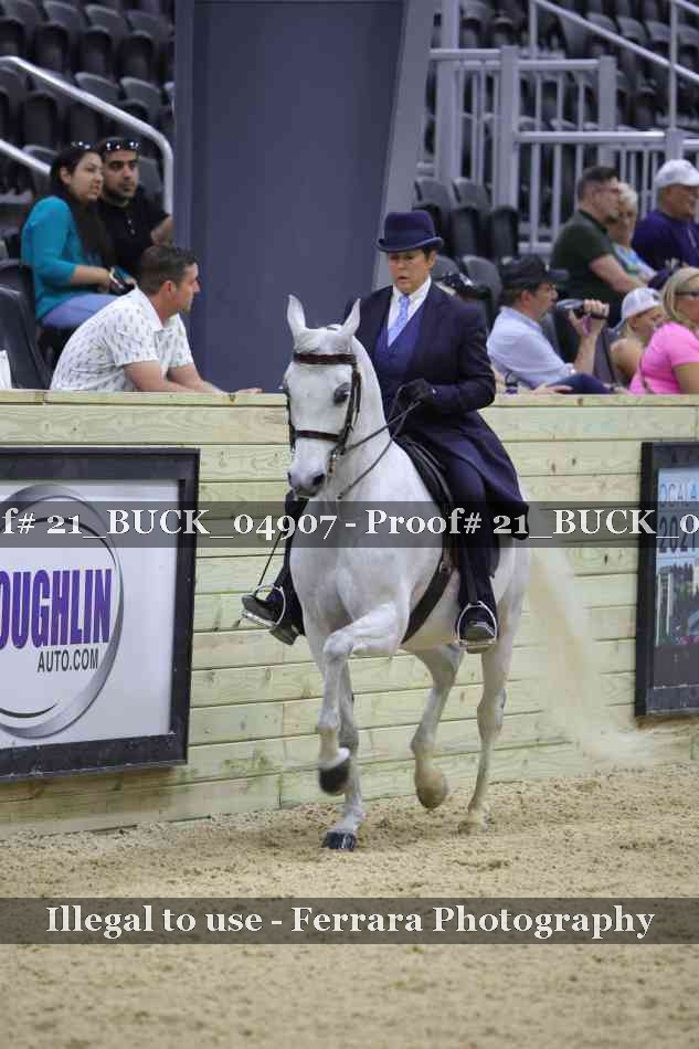 Proof 21_BUCK_04907