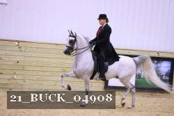 21_BUCK_04908 proof