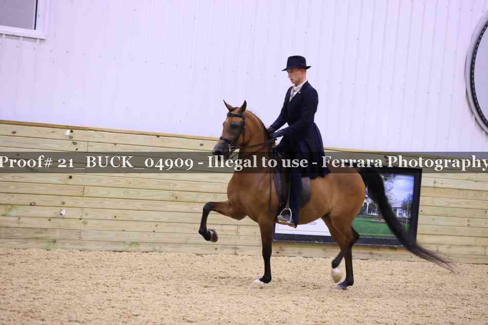 Proof 21_BUCK_04909