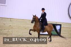 21_BUCK_04909 proof