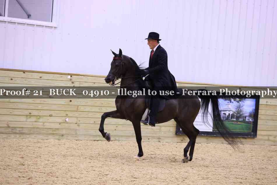 Proof 21_BUCK_04910