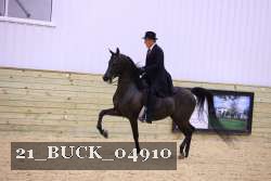 21_BUCK_04910 proof
