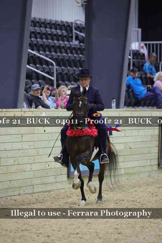 Proof 21_BUCK_04911