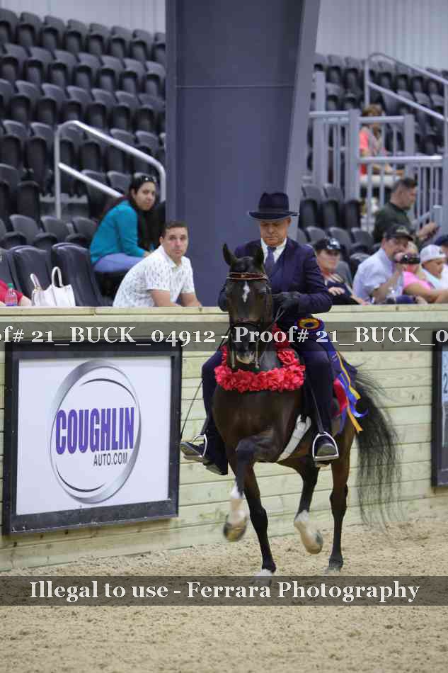Proof 21_BUCK_04912