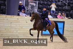 21_BUCK_04914 proof