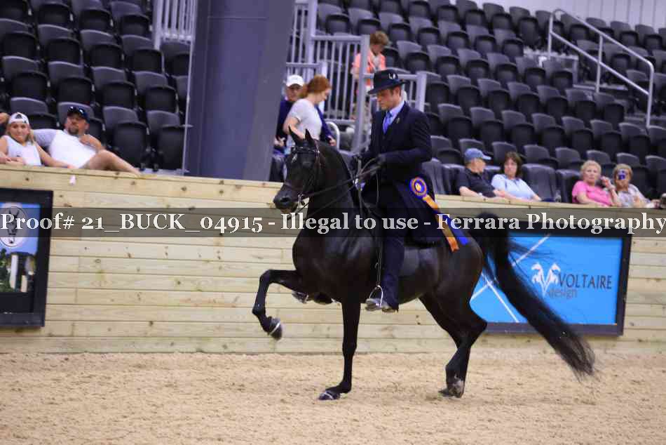 Proof 21_BUCK_04915
