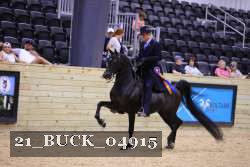 21_BUCK_04915 proof