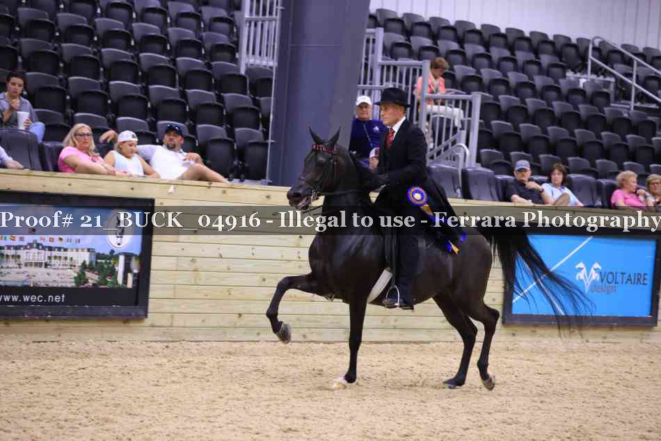 Proof 21_BUCK_04916
