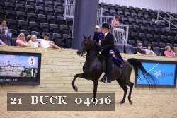 21_BUCK_04916 proof