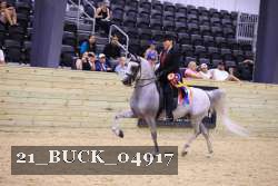 21_BUCK_04917 proof