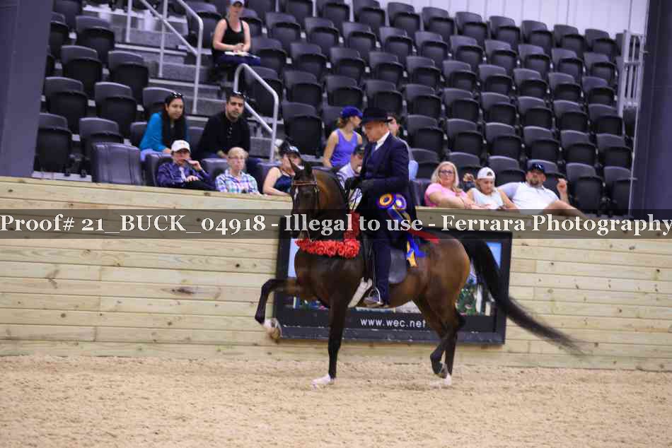 Proof 21_BUCK_04918