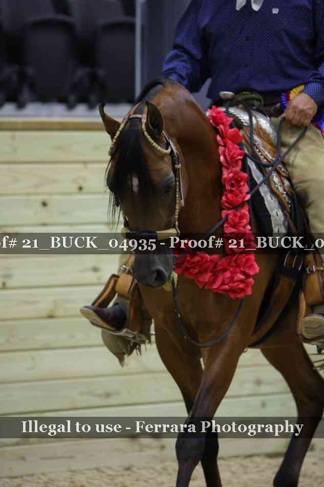 Proof 21_BUCK_04935