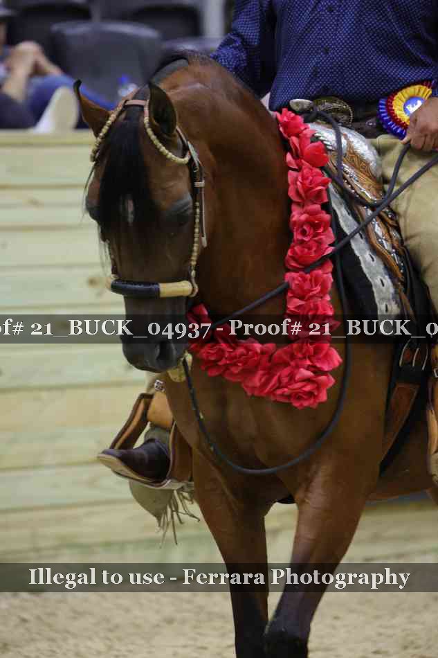 Proof 21_BUCK_04937