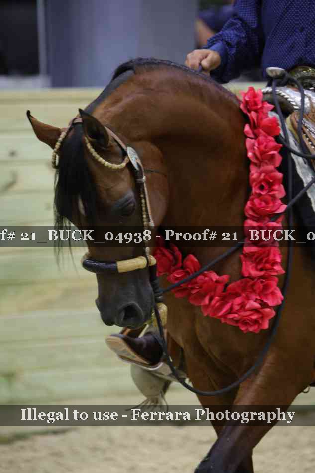 Proof 21_BUCK_04938