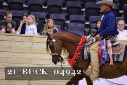 21_BUCK_04942 proof
