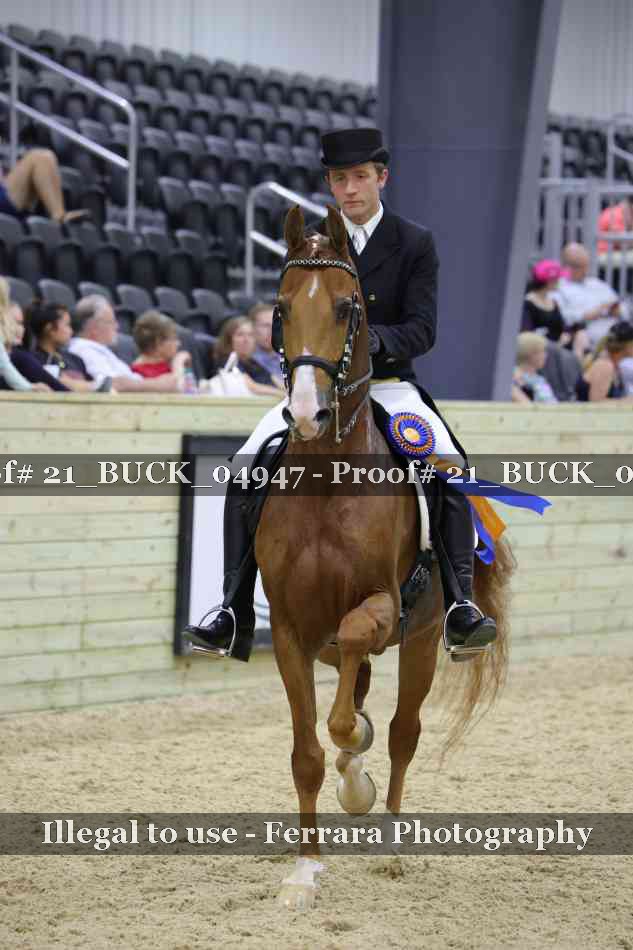 Proof 21_BUCK_04947