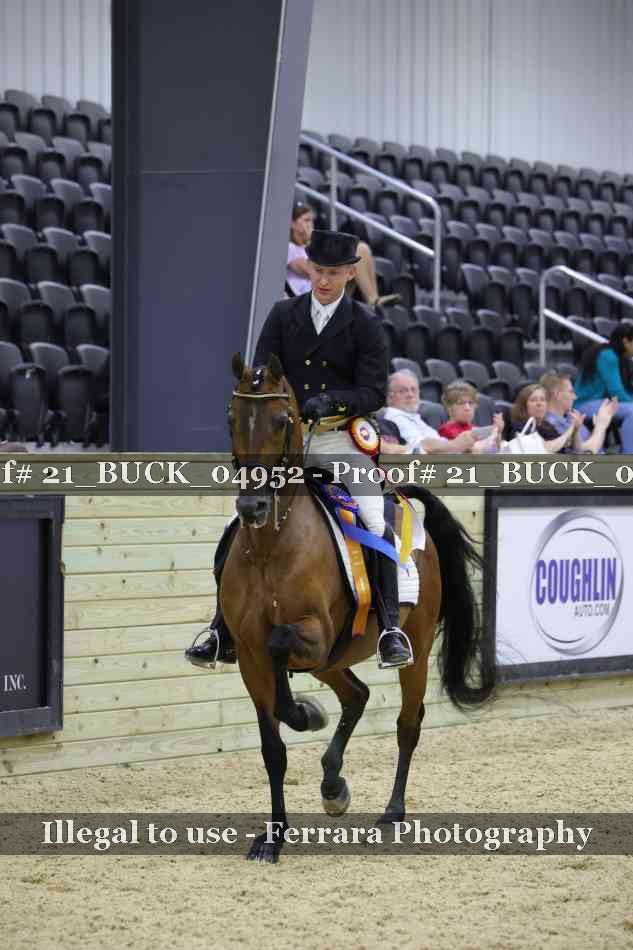 Proof 21_BUCK_04952