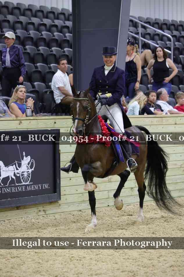 Proof 21_BUCK_04954