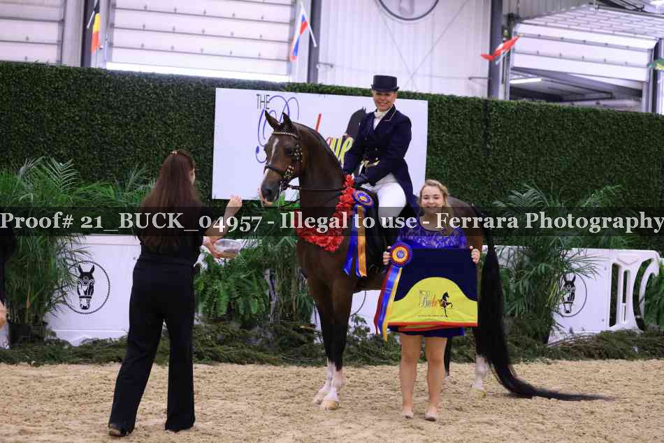 Proof 21_BUCK_04957