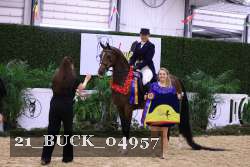 21_BUCK_04957 proof