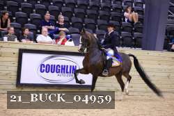 21_BUCK_04959 proof