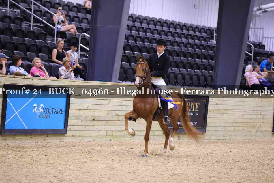 Proof 21_BUCK_04960