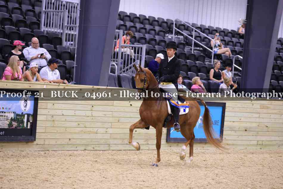 Proof 21_BUCK_04961