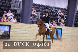21_BUCK_04961 proof