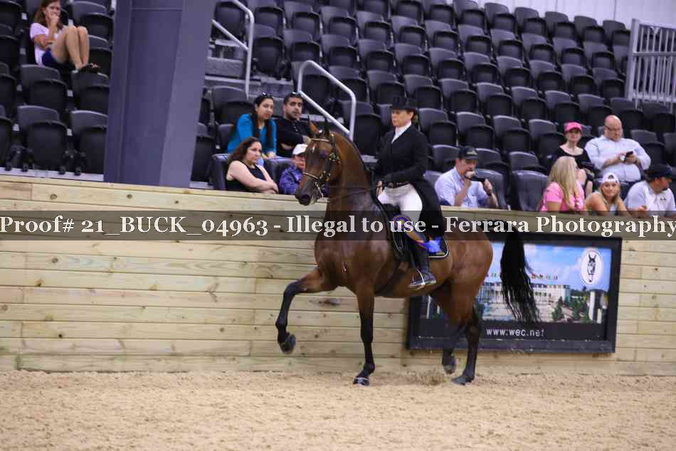 Proof 21_BUCK_04963