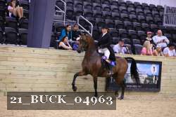 21_BUCK_04963 proof