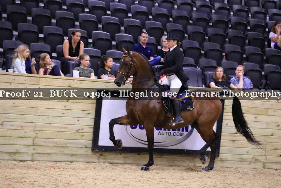 Proof 21_BUCK_04964