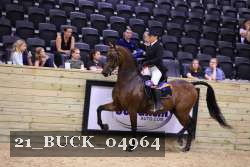 21_BUCK_04964 proof