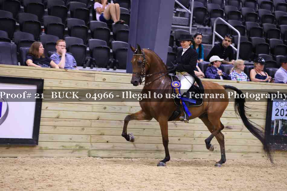 Proof 21_BUCK_04966