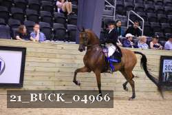 21_BUCK_04966 proof