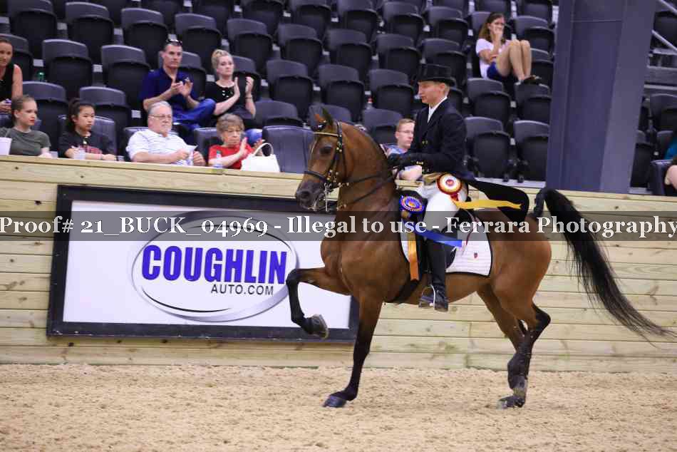 Proof 21_BUCK_04969