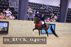 21_BUCK_04970 proof
