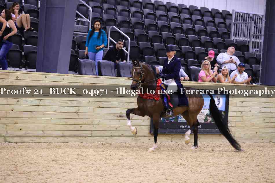 Proof 21_BUCK_04971