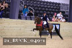 21_BUCK_04971 proof