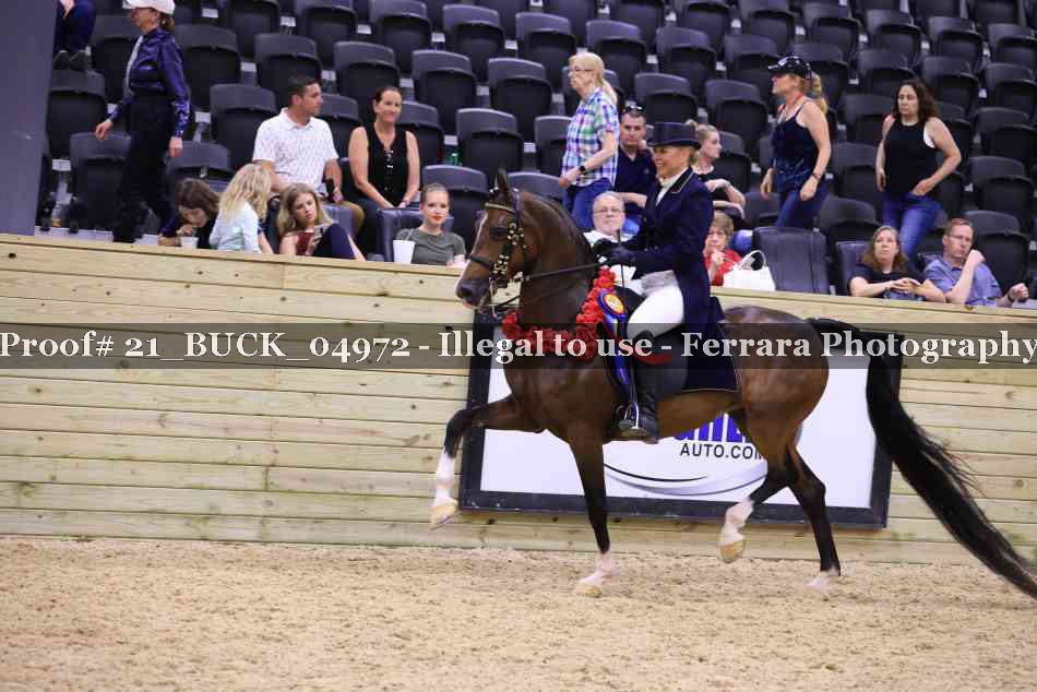 Proof 21_BUCK_04972