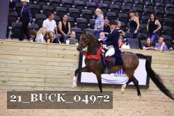 21_BUCK_04972 proof