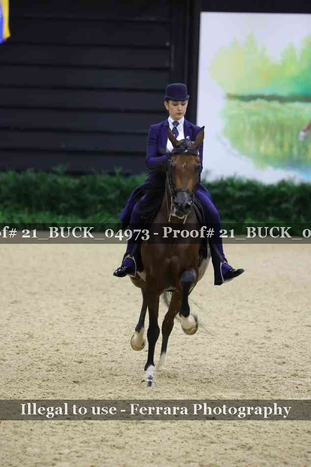 Proof 21_BUCK_04973
